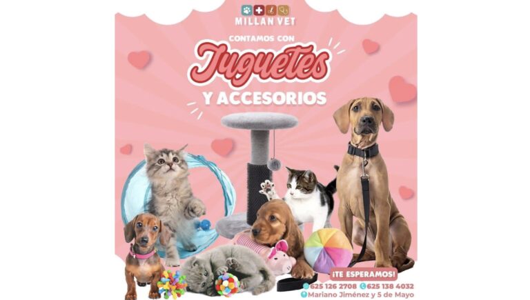 Imagen 24 02 26 a las 11.34 a.m. 2 768x435